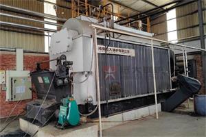 尼日利亞埃努古4噸燃煤蒸汽鍋爐